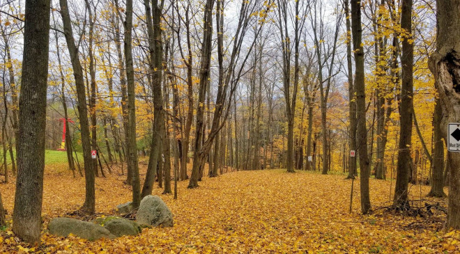 GreenUtica Roscoe Conkling Park