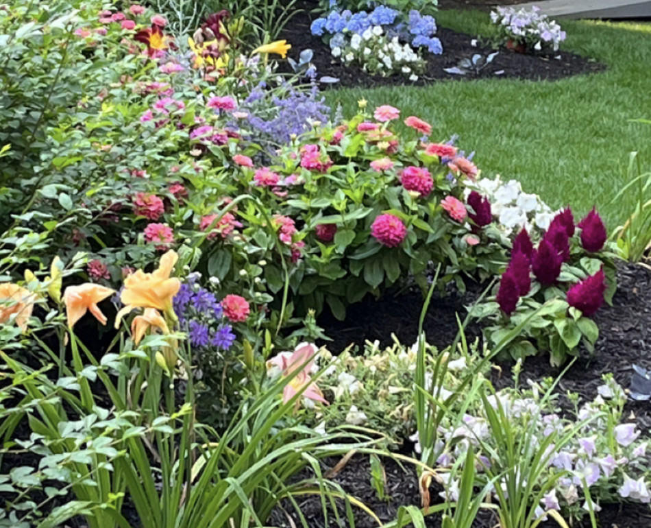 Jims Garden Verticle