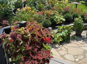 Jims Garden 