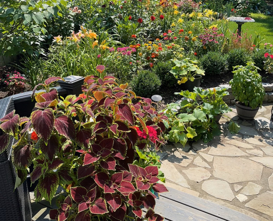 Jims Garden 