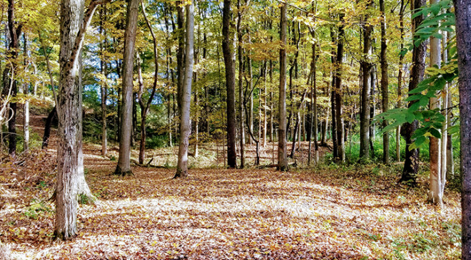 GreenUtica Thomas R. Proctor Park